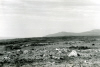 
IoH1007.jpg