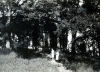 
Isa4014.jpg
