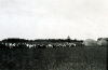 
Isa4021.jpg