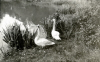 
Isa4292.jpg