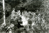 
Isa4320.jpg