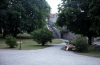 
H1006.jpg