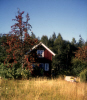 
H1223.jpg
