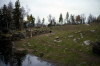 
H1228.jpg