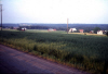 
H1233.jpg