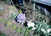 
H2610.jpg