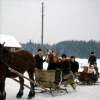 
H2723.jpg