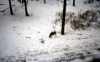 
H3137.jpg