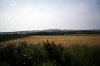 
H3633.jpg