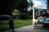
H3704.jpg