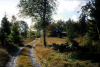 
H3706.jpg
