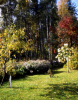 
H3707.jpg