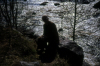 
H3729.jpg
