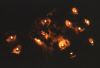 
H5603.jpg