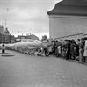 
HN36905.jpg