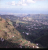 
H0520.jpg