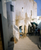 
H3307.jpg