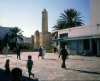 
H3310.jpg