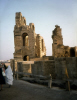 
H3318.jpg