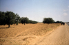 
H3325.jpg