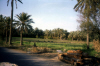 
H3417.jpg