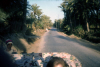 
H3419.jpg