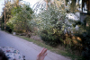 
H3422.jpg
