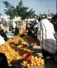 
H3613.jpg