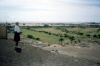 
H3931.jpg
