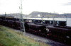 
H4801.jpg