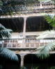 
H5135.jpg
