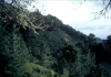 
H5626.jpg
